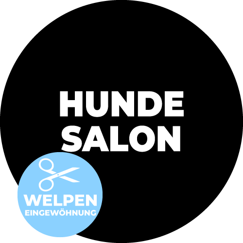 Sanfte Welpen Eingewöhnung - BELLOMANIA Hundesalon